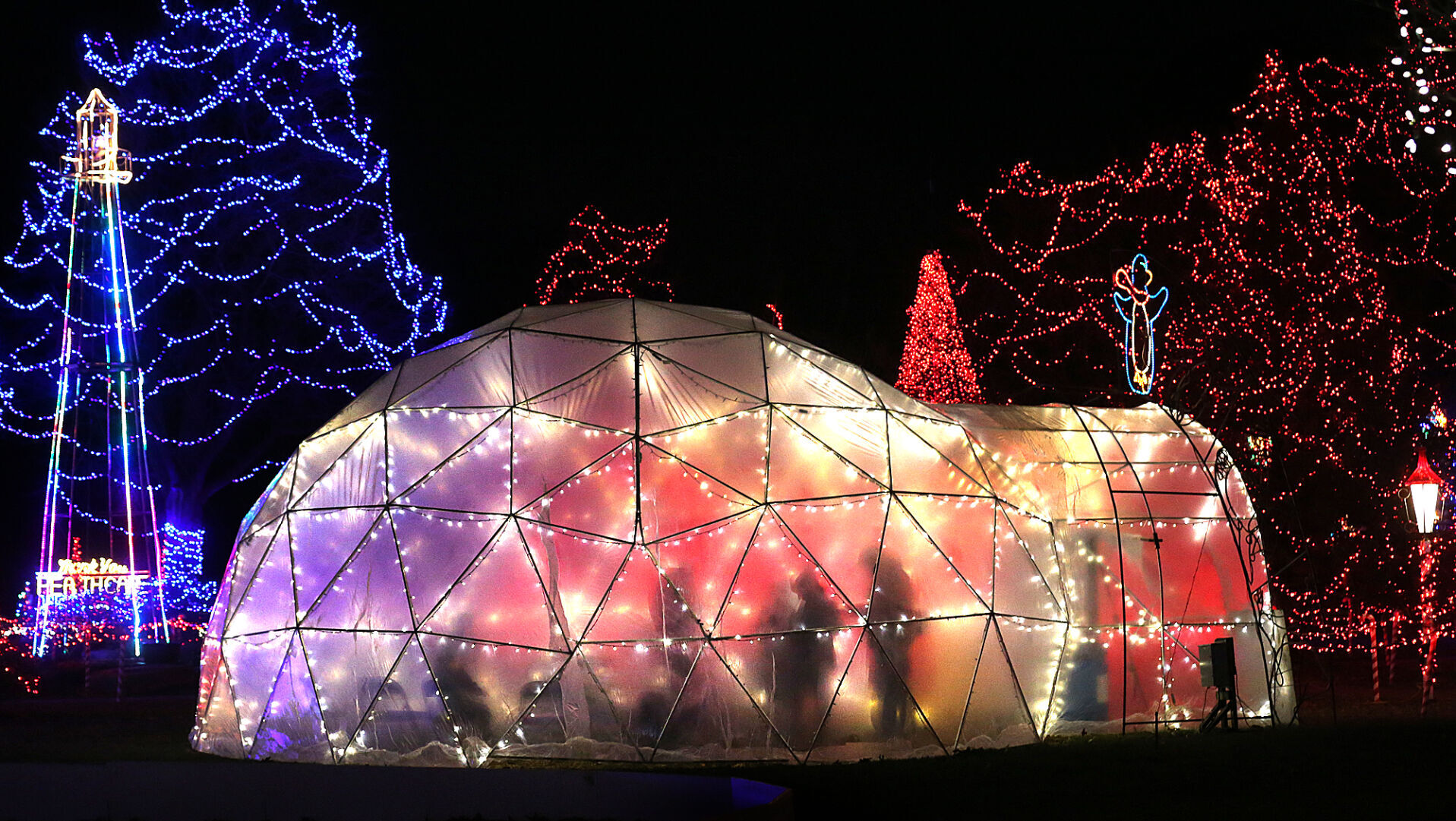 Rotary Lights 2020